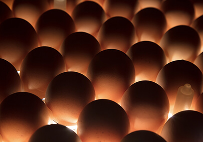 aboutUs_pic1 ÒøÓéÓÅÔ½»á(Öйú)¹É·ÝÓÐÏÞ¹«Ë¾¹ÙÍø