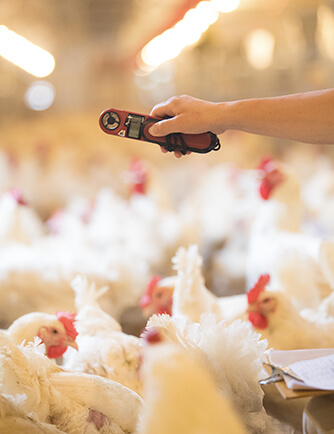 aboutUs_pic2 ÒøÓéÓÅÔ½»á(Öйú)¹É·ÝÓÐÏÞ¹«Ë¾¹ÙÍø