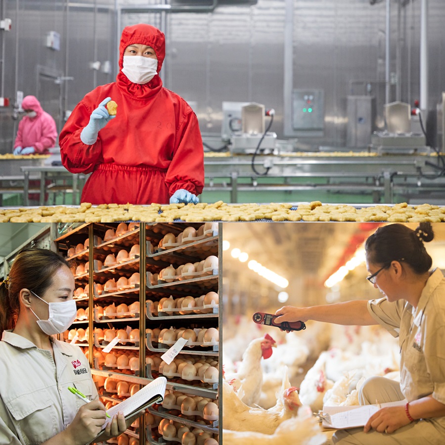 20191113112410_33325 银娱优越会(中国)股份有限公司官网